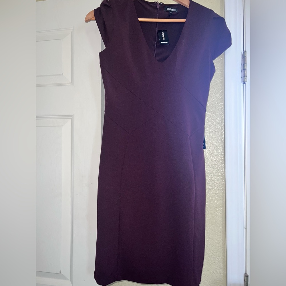 NWT Express dress